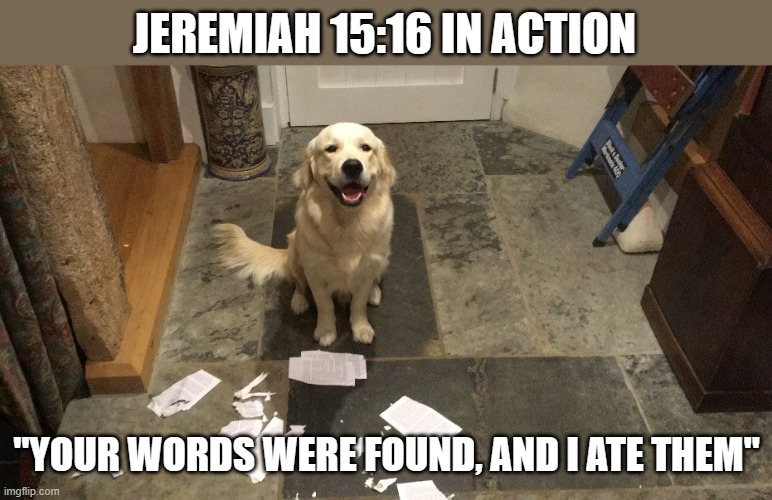 guilty as charged | JEREMIAH 15:16 IN ACTION; "YOUR WORDS WERE FOUND, AND I ATE THEM" | image tagged in dog,dogs,homework | made w/ Imgflip meme maker
