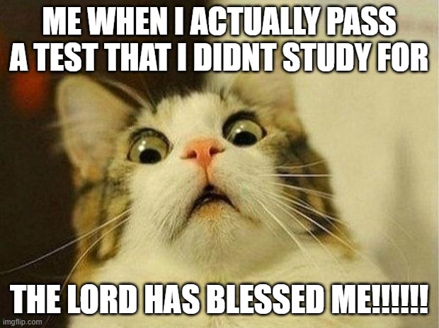 good | ME WHEN I ACTUALLY PASS A TEST THAT I DIDNT STUDY FOR; THE LORD HAS BLESSED ME!!!!!! | image tagged in memes,scared cat | made w/ Imgflip meme maker