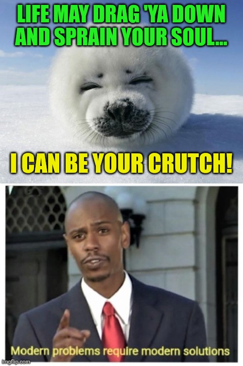 LIFE MAY DRAG 'YA DOWN AND SPRAIN YOUR SOUL... I CAN BE YOUR CRUTCH! | image tagged in seal of approval,modern problems require modern solutions | made w/ Imgflip meme maker