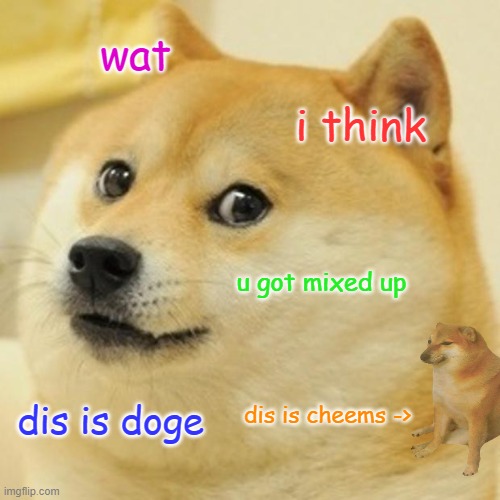 Doge Meme | wat i think u got mixed up dis is doge dis is cheems -> | image tagged in memes,doge | made w/ Imgflip meme maker