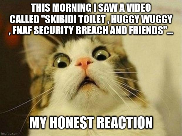 frll frll | THIS MORNING I SAW A VIDEO CALLED "SKIBIDI TOILET , HUGGY WUGGY , FNAF SECURITY BREACH AND FRIENDS"... MY HONEST REACTION | image tagged in memes,scared cat | made w/ Imgflip meme maker