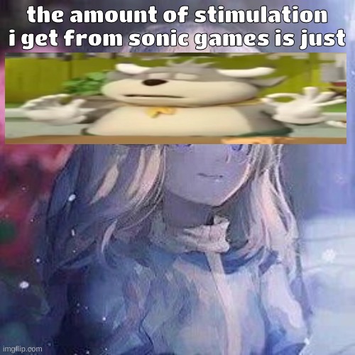 maria robotnik | the amount of stimulation i get from sonic games is just | image tagged in maria robotnik | made w/ Imgflip meme maker