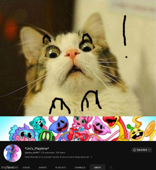 image tagged in memes,scared cat | made w/ Imgflip meme maker