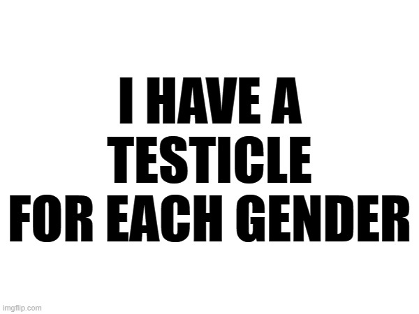 25 upvotes and this goes in the annoying letter people stream | I HAVE A TESTICLE FOR EACH GENDER | made w/ Imgflip meme maker