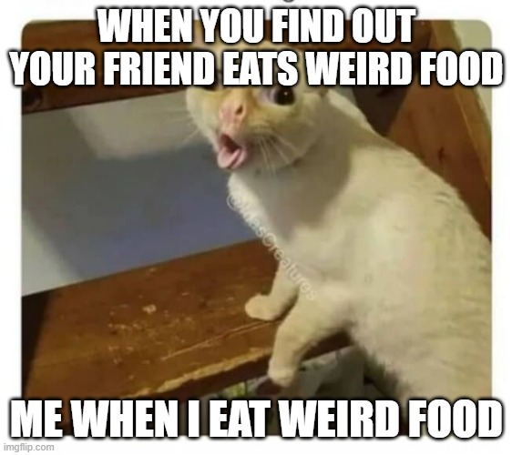 Coughing Cat | WHEN YOU FIND OUT YOUR FRIEND EATS WEIRD FOOD; ME WHEN I EAT WEIRD FOOD | image tagged in coughing cat | made w/ Imgflip meme maker