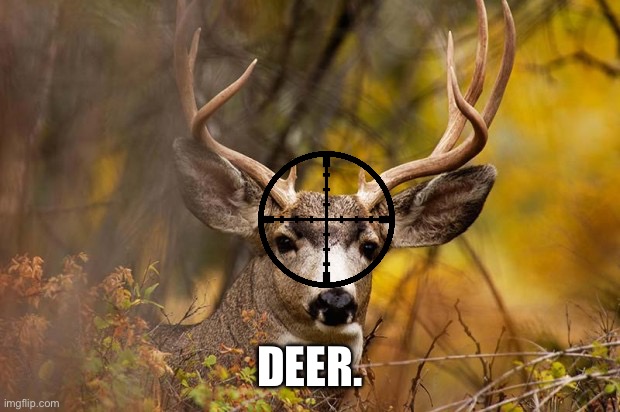deer meme | DEER. | image tagged in deer meme | made w/ Imgflip meme maker