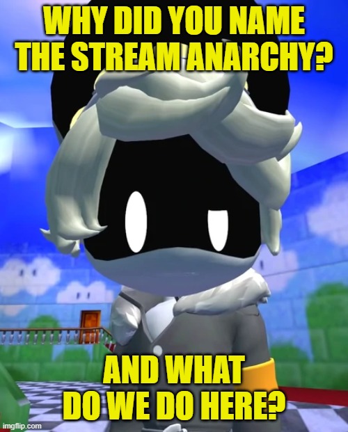 I just followed the stream | WHY DID YOU NAME THE STREAM ANARCHY? AND WHAT DO WE DO HERE? | image tagged in questioned n | made w/ Imgflip meme maker