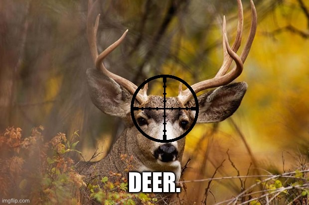 deer meme | DEER. | image tagged in deer meme | made w/ Imgflip meme maker