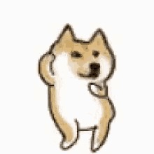 High Quality The doge Blank Meme Template