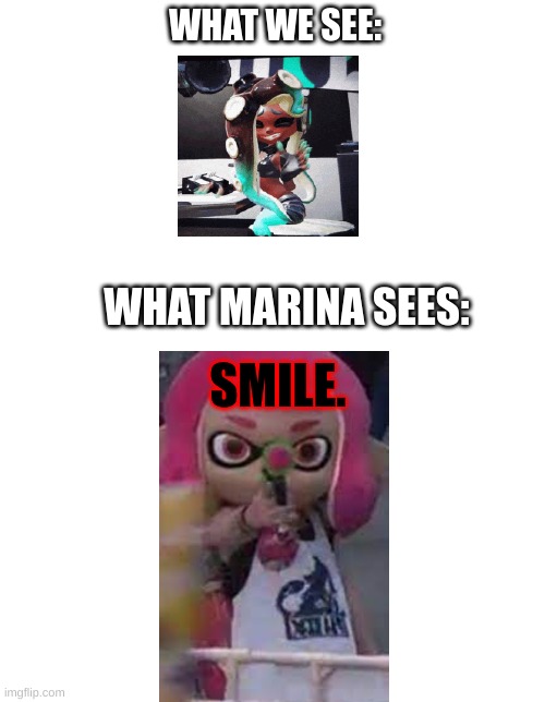 dis might explain why marina looks sad | WHAT WE SEE:; WHAT MARINA SEES:; SMILE. | image tagged in splatoon | made w/ Imgflip meme maker