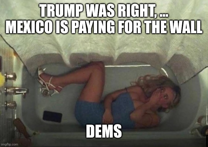 Hiding in the shower | TRUMP WAS RIGHT, ...
MEXICO IS PAYING FOR THE WALL; DEMS | image tagged in hiding in the shower | made w/ Imgflip meme maker