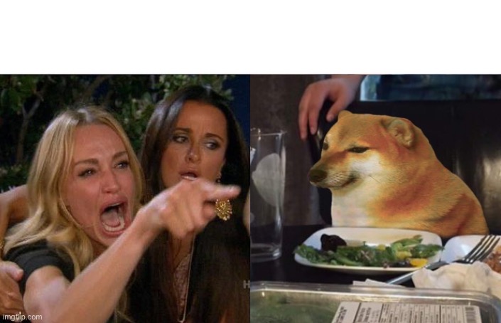 Woman yelling at Cheems | image tagged in woman yelling at cheems | made w/ Imgflip meme maker