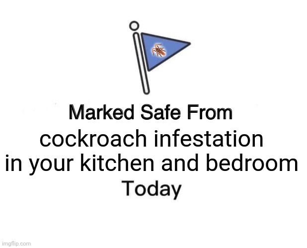 Marked Safe From | 🪳; cockroach infestation in your kitchen and bedroom | image tagged in memes,roach,lives | made w/ Imgflip meme maker