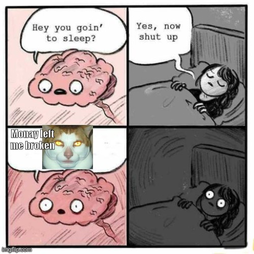 This is like my whole life lately | Monay left me broken | image tagged in hey you going to sleep,monday left me broken,cat,wtf,sleep | made w/ Imgflip meme maker