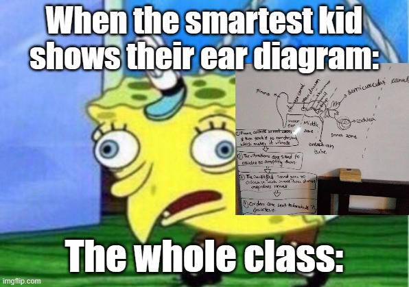 The smartest kid | When the smartest kid shows their ear diagram:; The whole class: | image tagged in memes,mocking spongebob | made w/ Imgflip meme maker