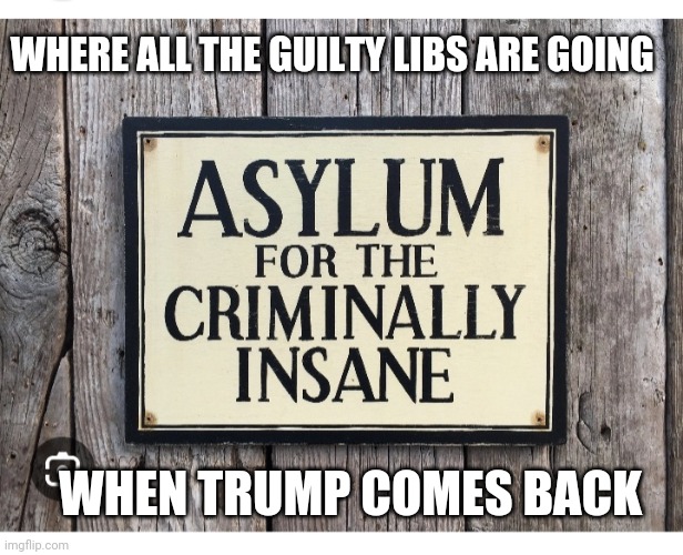 Return to Sanity | WHERE ALL THE GUILTY LIBS ARE GOING; WHEN TRUMP COMES BACK | image tagged in libtards,finished,vote,president trump,maga | made w/ Imgflip meme maker