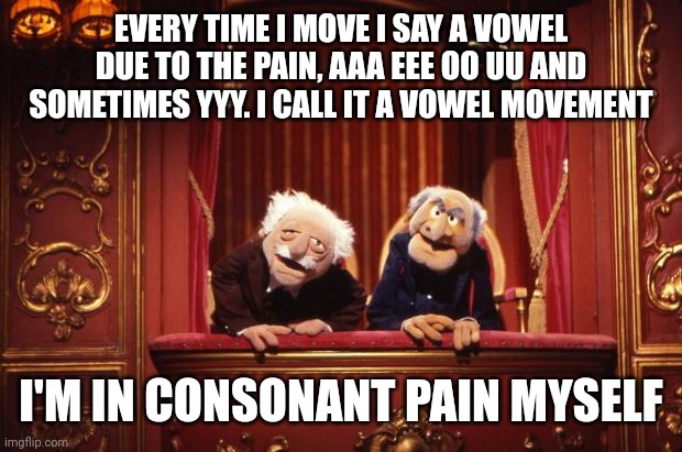 Old Muppets | EVERY TIME I MOVE I SAY A VOWEL DUE TO THE PAIN, AAA EEE OO UU AND SOMETIMES YYY. I CALL IT A VOWEL MOVEMENT; I'M IN CONSONANT PAIN MYSELF | image tagged in old muppets | made w/ Imgflip meme maker