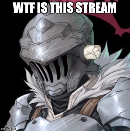 Goblin Slayer | WTF IS THIS STREAM | image tagged in goblin slayer | made w/ Imgflip meme maker