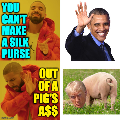 And it's not healthy to try. | YOU
CAN'T
MAKE
A SILK
PURSE; OUT
OF A
PIG'S
A$$ | image tagged in reverse drake,memes,reality memes,unkosher,trump pig's ass | made w/ Imgflip meme maker