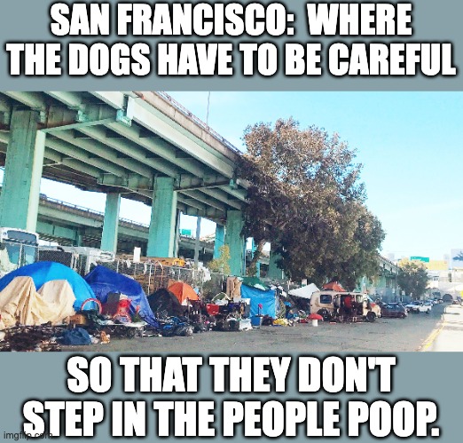 San Fran | SAN FRANCISCO:  WHERE THE DOGS HAVE TO BE CAREFUL; SO THAT THEY DON'T STEP IN THE PEOPLE POOP. | image tagged in homeless | made w/ Imgflip meme maker
