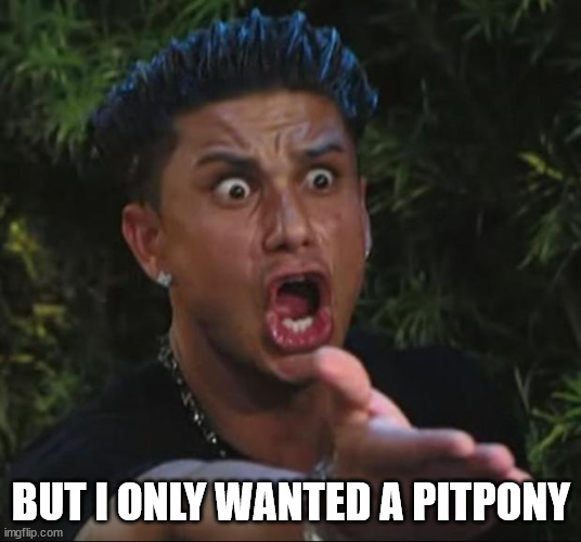 DJ Pauly D Meme | BUT I ONLY WANTED A PITPONY | image tagged in memes,dj pauly d | made w/ Imgflip meme maker