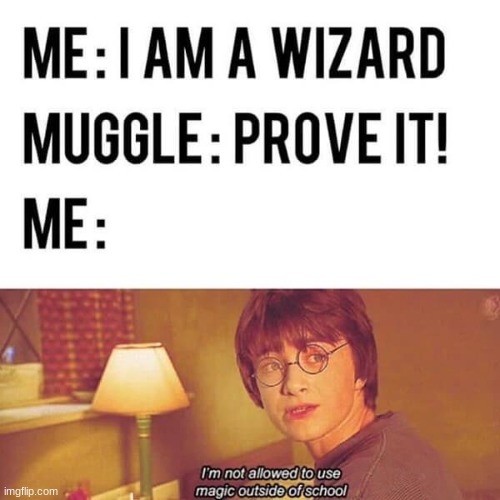 Who understands this? Also that be my brain after school | image tagged in harry potter | made w/ Imgflip meme maker