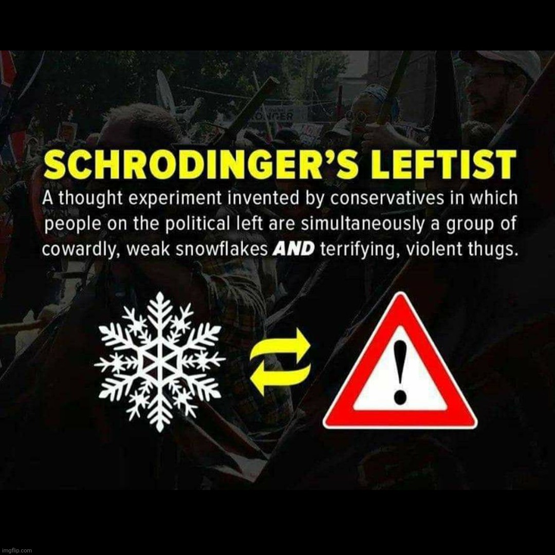 image tagged in schrodinger's leftist,schrodinger's cat,schrodinger | made w/ Imgflip meme maker