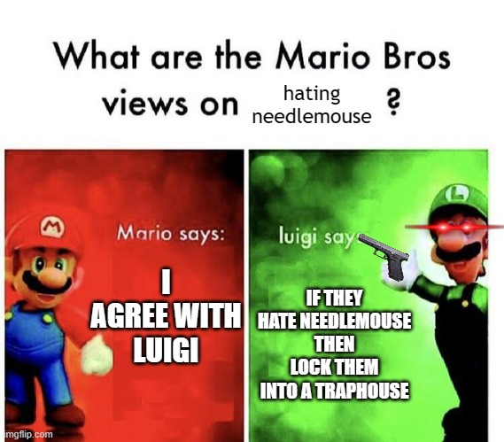hating needlemouse is like hating girls | hating needlemouse; I AGREE WITH LUIGI; IF THEY HATE NEEDLEMOUSE THEN LOCK THEM INTO A TRAPHOUSE | image tagged in mario bros views | made w/ Imgflip meme maker