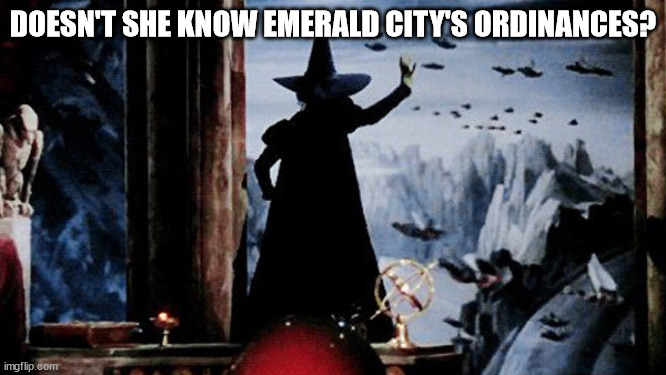 Wicked Witch | DOESN'T SHE KNOW EMERALD CITY'S ORDINANCES? | image tagged in wicked witch | made w/ Imgflip meme maker