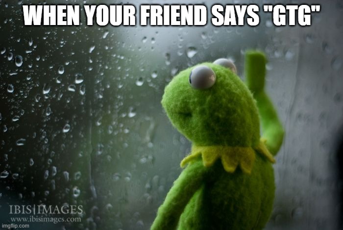 kermit window | WHEN YOUR FRIEND SAYS "GTG" | image tagged in kermit window,gtg,memes,pain | made w/ Imgflip meme maker