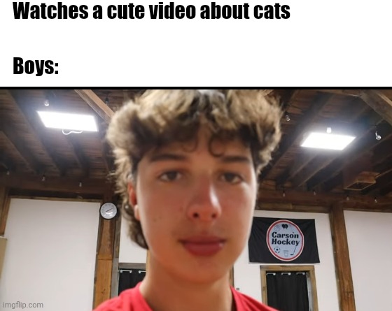 Carson Hockey meme | Watches a cute video about cats; Boys: | image tagged in make your own meme | made w/ Imgflip meme maker