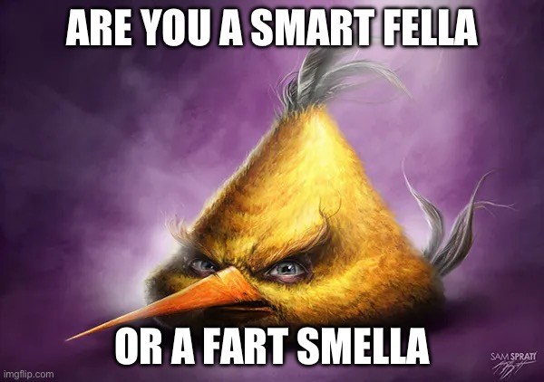 Be honest | ARE YOU A SMART FELLA; OR A FART SMELLA | image tagged in realistic angry birds | made w/ Imgflip meme maker