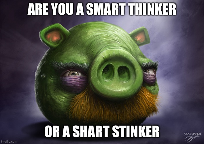 What are you | ARE YOU A SMART THINKER; OR A SHART STINKER | image tagged in realistic angry birds | made w/ Imgflip meme maker