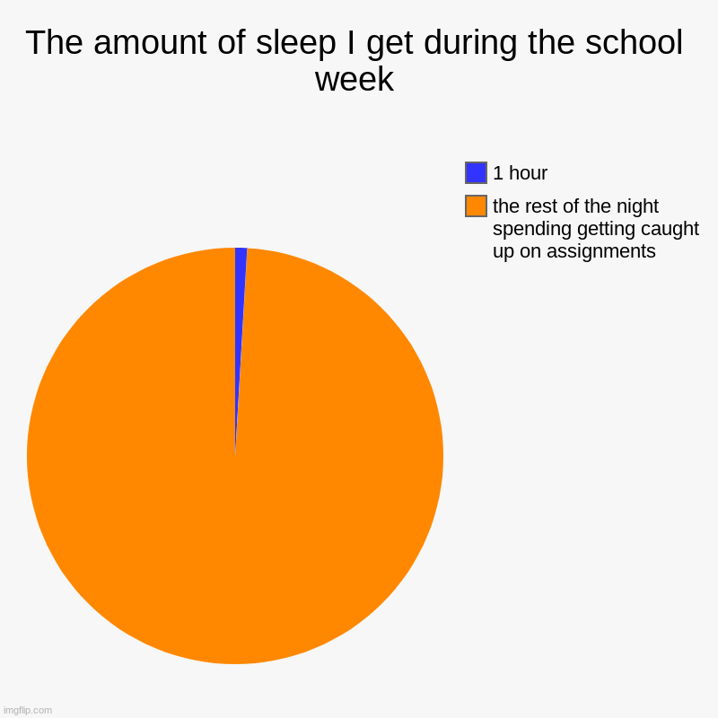 The amount of sleep I get during the school week | the rest of the night spending getting caught up on assignments, 1 hour | image tagged in charts,pie charts | made w/ Imgflip chart maker