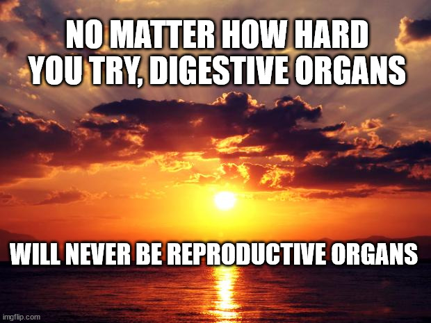 Sunset | NO MATTER HOW HARD YOU TRY, DIGESTIVE ORGANS; WILL NEVER BE REPRODUCTIVE ORGANS | image tagged in sunset | made w/ Imgflip meme maker