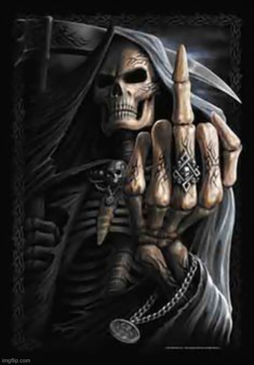 Skeleton flipping you the bird | image tagged in skeleton flipping you the bird | made w/ Imgflip meme maker