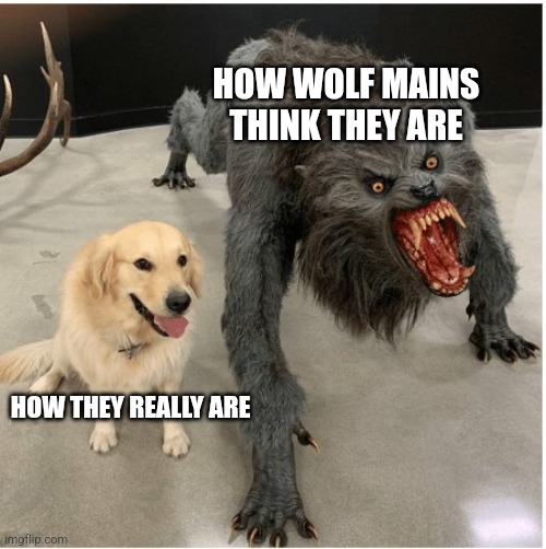 A meme for every character every day #47 (I feel this one's a bit lackluster compared to the others bc I couldn't really think o | HOW WOLF MAINS THINK THEY ARE; HOW THEY REALLY ARE | image tagged in dog wolf,memes,super smash bros,wolf | made w/ Imgflip meme maker