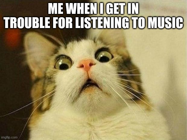 seriously, my math teacher did this this and it was so annoying | ME WHEN I GET IN TROUBLE FOR LISTENING TO MUSIC | image tagged in memes,scared cat | made w/ Imgflip meme maker