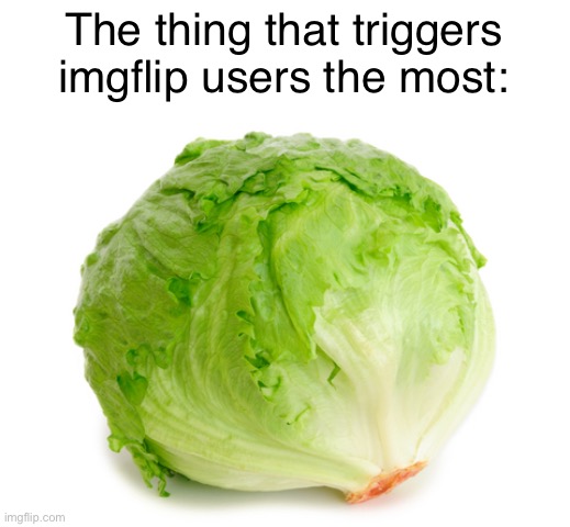 lmao | The thing that triggers imgflip users the most: | image tagged in lettuce | made w/ Imgflip meme maker