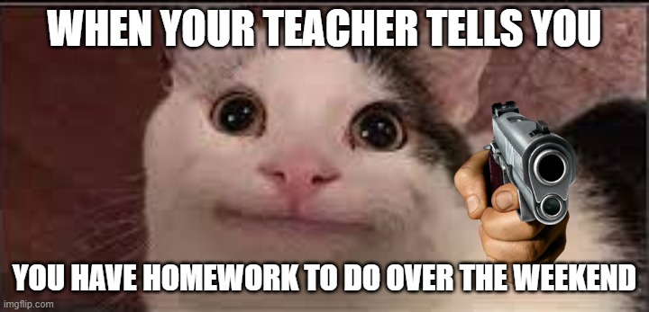 FUNNY CAT | WHEN YOUR TEACHER TELLS YOU; YOU HAVE HOMEWORK TO DO OVER THE WEEKEND | image tagged in i will find you and kill you | made w/ Imgflip meme maker