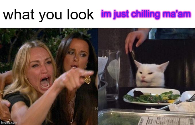 just chilling | what you look; im just chilling ma'am | image tagged in memes,woman yelling at cat | made w/ Imgflip meme maker