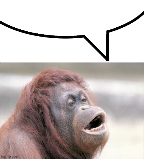 image tagged in speech bubble,memes,monkey ooh | made w/ Imgflip meme maker