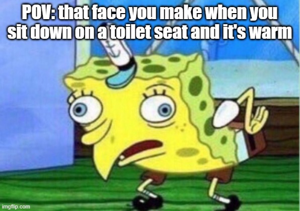 that face you make | POV: that face you make when you sit down on a toilet seat and it's warm | image tagged in memes,mocking spongebob | made w/ Imgflip meme maker