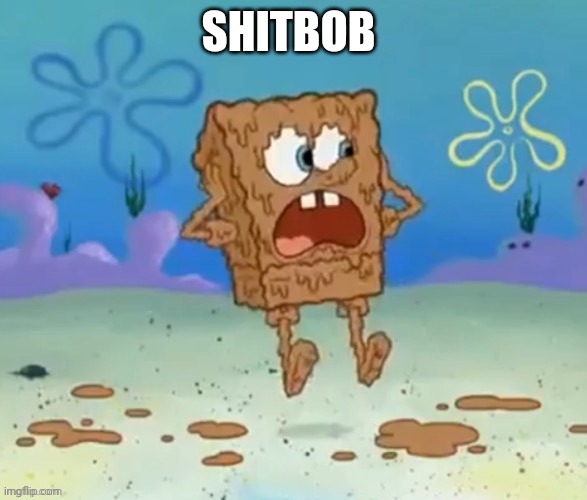 Shitbob | SHITBOB | image tagged in shitbob | made w/ Imgflip meme maker
