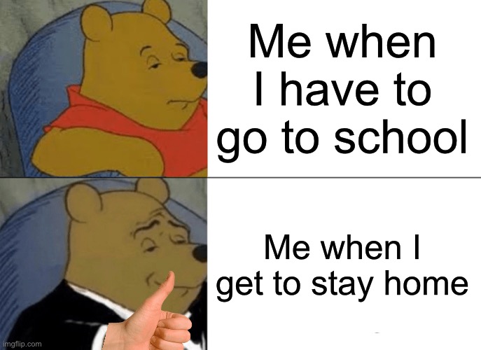 Everyone be like | Me when I have to go to school; Me when I get to stay home | image tagged in memes,tuxedo winnie the pooh,school | made w/ Imgflip meme maker