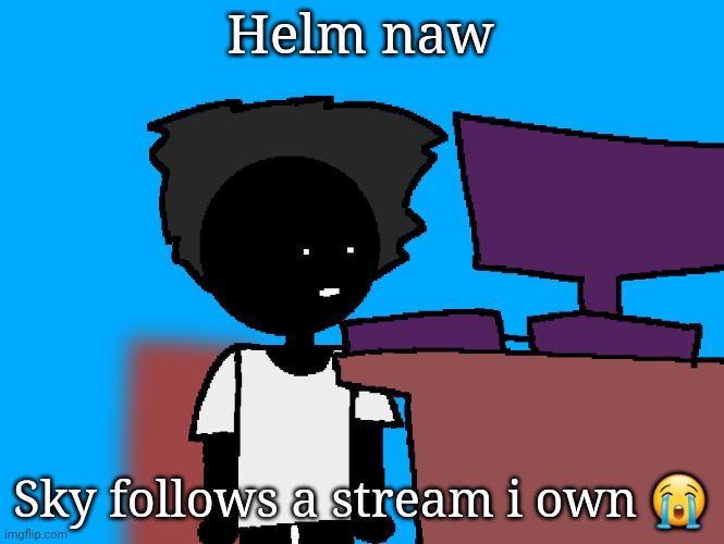 oh god what have i done | Helm naw; Sky follows a stream i own 😭 | image tagged in oh god what have i done | made w/ Imgflip meme maker