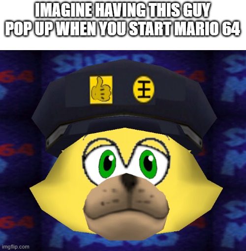 heheheha | IMAGINE HAVING THIS GUY POP UP WHEN YOU START MARIO 64 | image tagged in super mario 64,mods | made w/ Imgflip meme maker