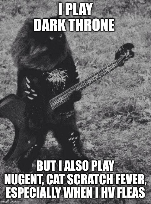 Black Metal Cat | I PLAY DARK THRONE; BUT I ALSO PLAY NUGENT, CAT SCRATCH FEVER, ESPECIALLY WHEN I HV FLEAS | image tagged in black metal cat | made w/ Imgflip meme maker