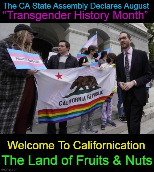 Love is Love and Crazy is Crazy | The CA State Assembly Declares August; “Transgender History Month”; Welcome To Californication; The Land of Fruits & Nuts | image tagged in political meme,california,hotel california,trans,history,crazy | made w/ Imgflip meme maker