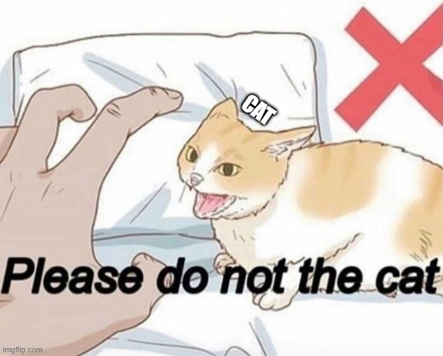 Please do not the cat | CAT | image tagged in please do not the cat | made w/ Imgflip meme maker